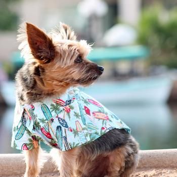 Hawaiian Shirt